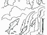 Blaziken Coloring Page Chinook Salmon Coloring Page Awesome Chinook Drawing at Getdrawings