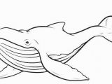 Blue Whale Coloring Page Humpback Whale Coloring Pages