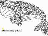 Blue Whale Coloring Page Whale Colouring 21 Whale Coloring Pages Kids Coloring