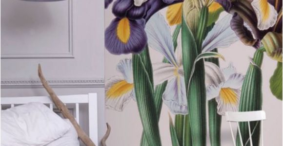 Botanical Wall Murals Uk Iris Xiphium Mural New York Botanical Garden From £60 Per