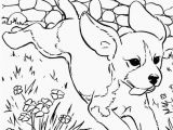 Breast Cancer Awareness Coloring Pages Printable Coloring Pages Dachshund – Pusat Hobi