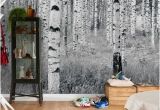 Brewster Home Fashions Wall Murals Birch forest Wall Mural by Brewster at Gilt Walls