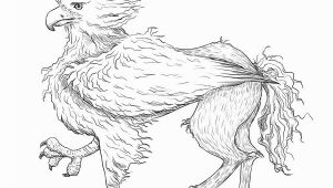 Buckbeak Coloring Pages Buckbeak by Svieta Sv On Deviantart