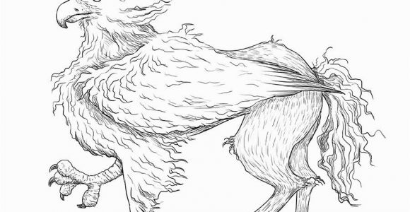 Buckbeak Coloring Pages Buckbeak by Svieta Sv On Deviantart