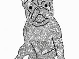 Bulldog Coloring Pages Bulldog Coloring Pages New Bulldog Coloring Pages Beautiful 75 Best