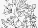 Butterflies Coloring Pages butterflies Coloring Pages Fetching Fresh Coloring Pages Line New