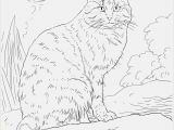 Cat Coloring Pages for Kids to Print Pushing the Cat Printable Coloring Pages at Coloring Pages