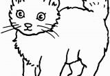 Cat Warriors Coloring Pages Coloring Cat