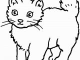 Cat Warriors Coloring Pages Coloring Cat