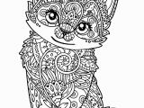 Cat Warriors Coloring Pages Coloring Catg Pages Kitten Pusheen Black and White Unicorn