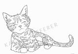 Cat Warriors Coloring Pages Coloring Real Cat and Kitten Coloring Pages Printable