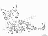 Cat Warriors Coloring Pages Coloring Real Cat and Kitten Coloring Pages Printable