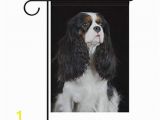 Cavalier King Charles Spaniel Coloring Page Amazon Blueviper Cavalier King Charles Spaniel Dog