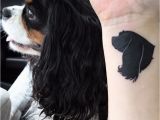 Cavalier King Charles Spaniel Coloring Page Silhouette Tattoo Of My Cavalier King Charles Spaniel