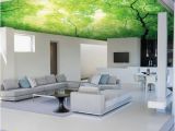 Ceiling Decals Mural Alternative for White Ceiling 3d Ceiling Design Ideas