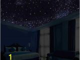 Ceiling Murals Night Sky Glow In the Dark Night Sky Mural Stars Constellations Milky Way 5 Ft