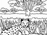 Cheetah Coloring Pages Online 25 Best Cheetah Coloring Pages for Your Little Es