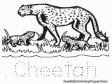Cheetah Coloring Pages Online Coloring Pages Of Baby Cheetahs A K Bfo