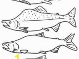 Chinook Salmon Coloring Page 157 Best Native Salmon Images On Pinterest