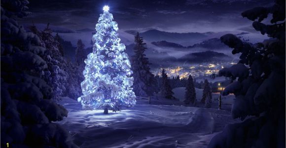 Christmas Wall Murals Uk 50 Beautiful Christmas Tree Wallpapers