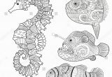 Clown Fish Coloring Pages Set Fish Sea Horse Moon Fish Stock Vektorgrafik Lizenzfrei