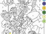 Color by Number Flower Coloring Pages 127 Best Coloring Pages Images