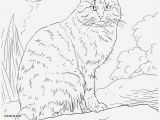 Coloring Animal Pages for Printing Coloring Page to Print Animal Mandala Lovely Cat Printable