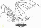 Coloring How to Train Dragon Already Colored How to Train Your Dragon Coloring Pages