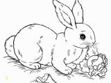 Coloring Page Of A Rabbit Bunny Rabbit Coloring Pages