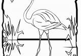 Coloring Page Of Flamingo Flamingo Coloring Page