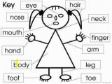 Coloring Pages Face Parts Parts Of the Body and Face Posters and Worksheets