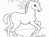 Coloring Pages for Girls Horses Horse to Color Horse Coloring Page