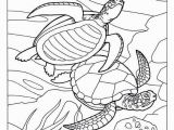 Coloring Pages for Ocean Animals Unique Coloring Pages Fish for Adults Picolour