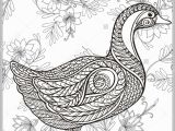 Coloring Pages for Older Kids Duck Floral Background Coloring Book for Adult and Older