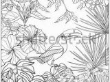 Coloring Pages for Older Kids Tropical Wild Birds and Plants Tropical Garden Collection