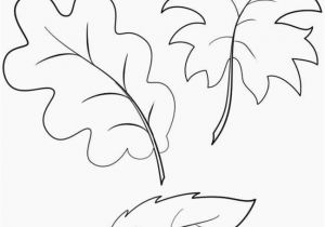 Coloring Pages Leaves Autumn Fall Leaves Coloring Pages Unique Fall Leaves Coloring Pages Best