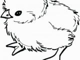 Coloring Pages Of Baby Chicks Cute Easter Coloring Pages Cute Coloring Pages for Eggs Coloring
