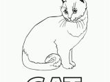 Coloring Pages Of Cats Printable Spell Cat Coloring Page Printable