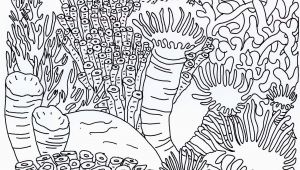 Coloring Pages Of Coral Reefs Best Coral Reef Coloring Page Coloring Pages