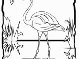 Coloring Pages Of Flamingos Flamingo Coloring Page Coloring Pages Pinterest