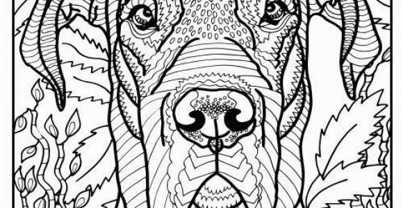 Coloring Pages Of Great Danes Free Printable Great Dane Coloring Page Available for