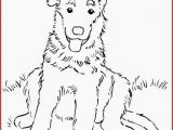 Coloring Pages Of Huskies Husky Coloring Pages Inspirational Husky Coloring Pages New Husky