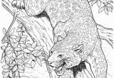 Coloring Pages Of Jaguars Printable 10 Best Jaguar Coloring Pages for Little Es with Images