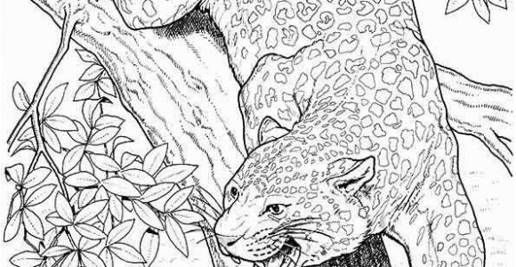 Coloring Pages Of Jaguars Printable 10 Best Jaguar Coloring Pages for Little Es with Images