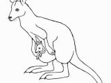 Coloring Pages Of Kangaroos Wallaby Google Search Line Drawings for Literacy