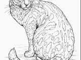 Coloring Pages Of Real Kittens 13 Best Coloring Pages Real Kittens S