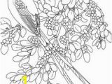 Coloring Pages Of Scissors 125 Best Birds Insects Etc Coloring Pages 2 Images On Pinterest In