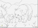 Coloring Pages Of Stuffed Animals 20 Nice Ty Stuffed Animals Coloring Pages