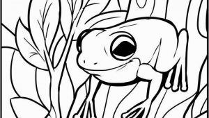 Coloring Pages Of Tree Frogs Frog Coloring Pages Fresh Frog Colouring 0d Free Coloring Pages Kids