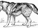 Coloring Pages Of Wolves Unlock Coloring Pages Wolfs Advice Wolves High Tech
